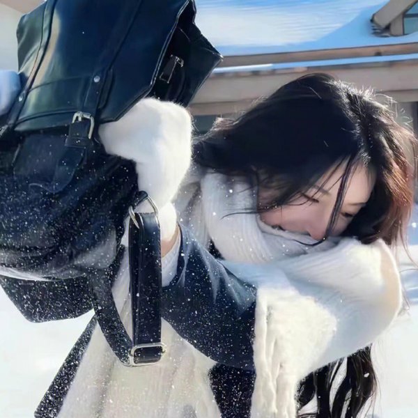 海豚爱上猫